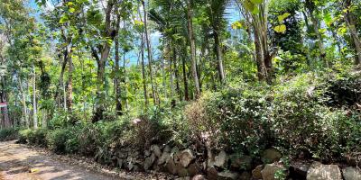 Tanah Datar Siap Dibangun Mojogedang Karanganyar Tanah Datar Siap Dibangun Mojogedang Karanganyar