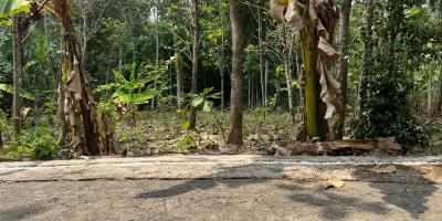 Pekarangan Datar 959m² Utara Pasar Mojogedang 