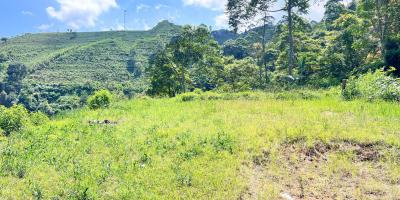  Tanah 5971m² Cocok Untuk Wisata View Kebun Teh Kemuning 