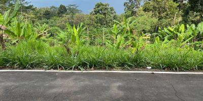 Tanah 2242m² Dekat Ponpes MTA Mojogedang 