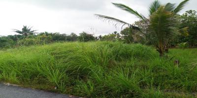 DUA KAVLING TANAH STRATEGIS MAIN ROAD SEHAN UMAR BANGKA BELITUNG DUA KAVLING TANAH STRATEGIS MAIN ROAD SEHAN UMAR BANGKA BELITUNG