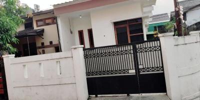  Rumah tumbuh di pusat kota bandung