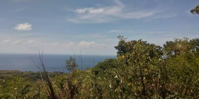 LAND FOR SALE NUSA TEGENUNGAN SUKAWATI LAND FOR SALE NUSA TEGENUNGAN SUKAWATI