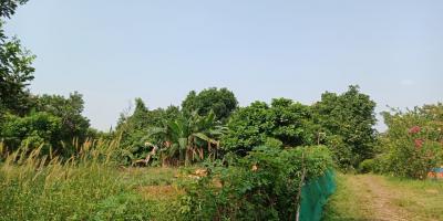 Tanah 3600 m2 murah di Jatimulya Depok Tanah 3600 m2 murah di Jatimulya Depok