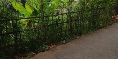 Jual tanah murah di Pondok Rajeg Cibinong Jual tanah murah di Pondok Rajeg Cibinong