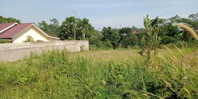 Tanah Kavling BRI 520 m2 dekat Perkantoran Pemda Depok Tanah Kavling BRI 520 m2 dekat Perkantoran Pemda Depok