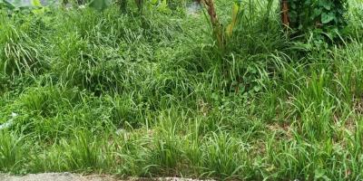 Tanah 210 m2 huk di Kalibaru Depok 