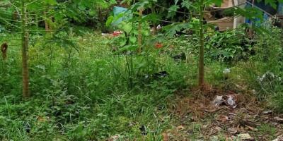 Tanah murah 100 m2 di Kalibaru Depok 