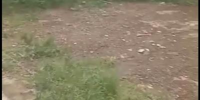 Tanah 160 m2 dekat kelurahan Pondok Rajeg Cibinong Tanah 160 m2 dekat kelurahan Pondok Rajeg Cibinong