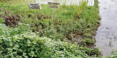 Jual Tanah di Bantul Yogyakarta Dekat RS Rachma Husada, Desa Wisata Potrobayan, Taman Opak Zoo