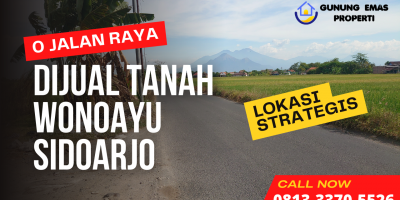 Jual Tanah Sidoarjo Wonokasian Wonoayu Jual Tanah Sidoarjo Wonokasian Wonoayu