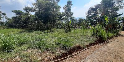 TANAH DI TANJUNGSARI SUMEDANG