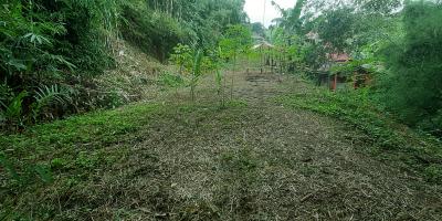 TANAH PADAT DI CIMENYAN BANDUNG TANAH PADAT DI CIMENYAN BANDUNG