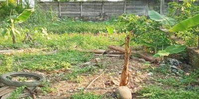 Tanah Dijual di Palembang Pinggir Jalan Dekat Citra Land Palembang, Stasiun Kertapati, Pintu Tol Palembang-Indralaya Tanah Dijual di Palembang Pinggir Jalan Dekat Citra Land Palembang, Stasiun Kertapati, Pintu Tol Palembang-Indralaya