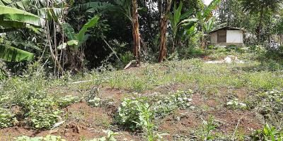 TANAH DI KAWASAN CIUMBULEUIT BANDUNG TANAH DI KAWASAN CIUMBULEUIT BANDUNG