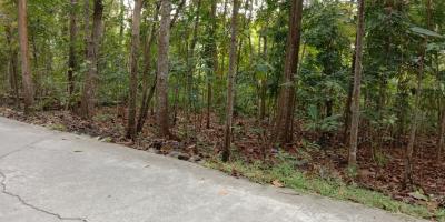 PROFIT 30% PER TAHUN TANAH DI DEKAT JALAN WATES KM 7