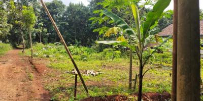 DIJUAL TANAH CIJENGKOL BEKASI DIJUAL TANAH CIJENGKOL BEKASI