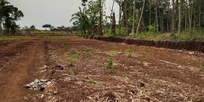 KAVLING TANAH MURAH, STRATEGIS, DENGAN PEMANDANGAN CANTIK DI SINGOSARI MALANG KAVLING TANAH MURAH, STRATEGIS, DENGAN PEMANDANGAN CANTIK DI SINGOSARI MALANG