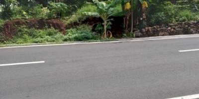 Tanah Strategis 223m Pinggir Jalan Raya Kedawung Sragen 