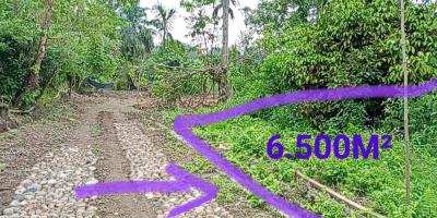 TANAH DIPINGGIR JALAN DESA  BANDAR BARU SUMATERA UTARA (081264304189)