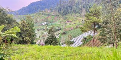 Tanah 275 Juta Kawasan Wisata Ngargoyoso Tanah 275 Juta Kawasan Wisata Ngargoyoso