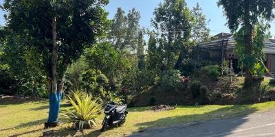 Kebun Durian Subur 1000m Kerjo, Karanganyar 