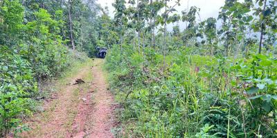 DIJUAL TANAH PEKARANGAN 1 HEKTAR – SAMBIREJO, SRAGEN–SOLO DIJUAL TANAH PEKARANGAN 1 HEKTAR – SAMBIREJO, SRAGEN–SOLO