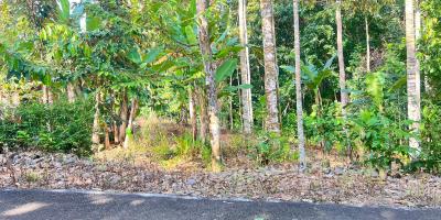 Kebun Durian 300 Juta Utara Pasar Mojogedang Karanganyar 
