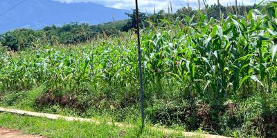 Tanah View Gunung Lawu 8000m Kerjo Karanganyar Utara 