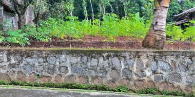 Tanah Datar 600m²  Cocok Dibangun Rumah Tinggal 