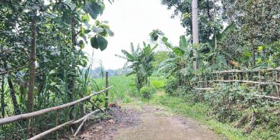 Tanah 6000m² Cocok Untuk Peternakan Karanganyar 