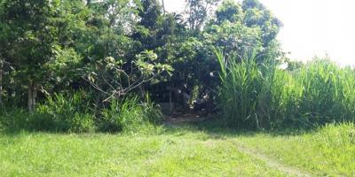 Jual Tanah Kavling di Daerah Mengwi Badung Bali Jual Tanah Kavling di Daerah Mengwi Badung Bali