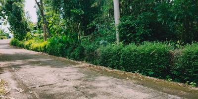 Tanah Asri Pegunungan Siap Dibangun Mojogedang Karanganyar Tanah Asri Pegunungan Siap Dibangun Mojogedang Karanganyar