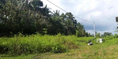 Jual Tanah Kavling Jalan Wisnu Marga Tabanan Murah Jual Tanah Kavling Jalan Wisnu Marga Tabanan Murah