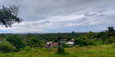 Tanah di Jalan Damai Daerah Kayu Putih Buleleng