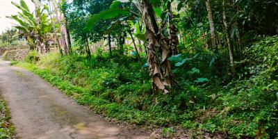 Dijual Tanah Strategis Dibangun Villa Kerjo Karanganyar Dijual Tanah Strategis Dibangun Villa Kerjo Karanganyar