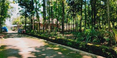 Tanah Datar Kebun Jati Kedawung Sragen