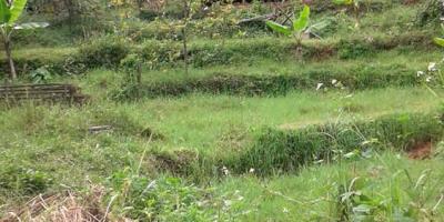 TANAH VIEW KOTA BANDUNG UNTUK RUMAH VILLA DAN KEBUN PRODUKTIF  DI UJUNG BERUNG