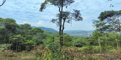 TANAH UNTUK  WISATA RESORT PERKEBUNAN PETERNAKAN  DEKAT JALAN CAGAK SUBANG