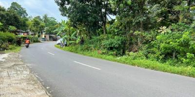 Jual Kebun Durian Jl Raya Karangpandan Karanganyar Jual Kebun Durian Jl Raya Karangpandan Karanganyar