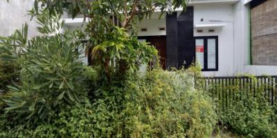 Jual Rumah Murah di Perumahan Bumi Papan Selaras Sidoarjo Jual Rumah Murah di Perumahan Bumi Papan Selaras Sidoarjo