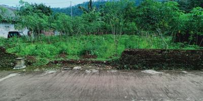 Tanah Area Kebun Teh Kemuning Karanganyar Tanah Area Kebun Teh Kemuning Karanganyar