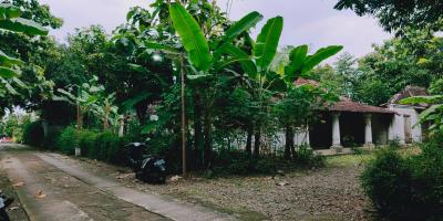 Tanah Bonus Rumah Jawa Siap Huni Kedawung Sragen Tanah Bonus Rumah Jawa Siap Huni Kedawung Sragen