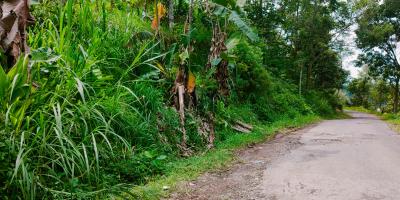 Dijual Tanah Kebun Durian Kemuning Ngargoyoso Karanganyar