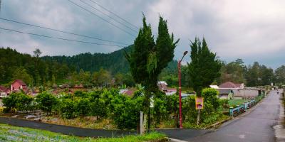 Tanah View Perbukitan Kemuning Ngargoyoso Karanganyar