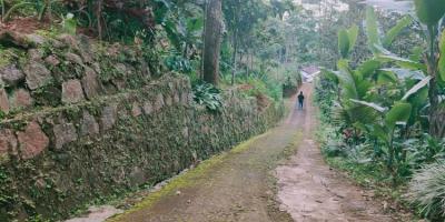 Tanah Kebun Durian 3000 m² Siap Panen Kawasan Wisata Alam Karangpandan Karanganyar Tanah Kebun Durian 3000 m² Siap Panen Kawasan Wisata Alam Karangpandan Karanganyar