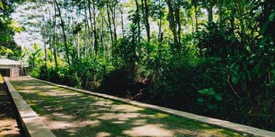 Tanah Datar Subur 3900m² Desa Wisata Mojogedang Karanganyar Tanah Datar Subur 3900m² Desa Wisata Mojogedang Karanganyar