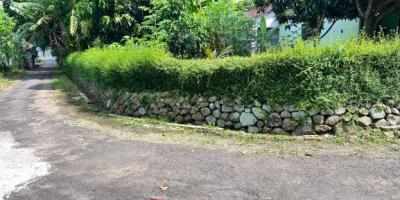 Tanah Datar View Hamparan Sawah Kedawung, Sragen Tanah Datar View Hamparan Sawah Kedawung, Sragen