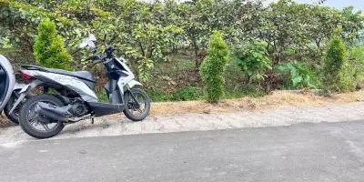 Tanah 350 Juta Strategis Bangun Villa Ngargoyoso Tanah 350 Juta Strategis Bangun Villa Ngargoyoso