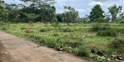 Tanah Super Datar Untuk Gudang 8285m Karanganyar Utara Tanah Super Datar Untuk Gudang 8285m Karanganyar Utara